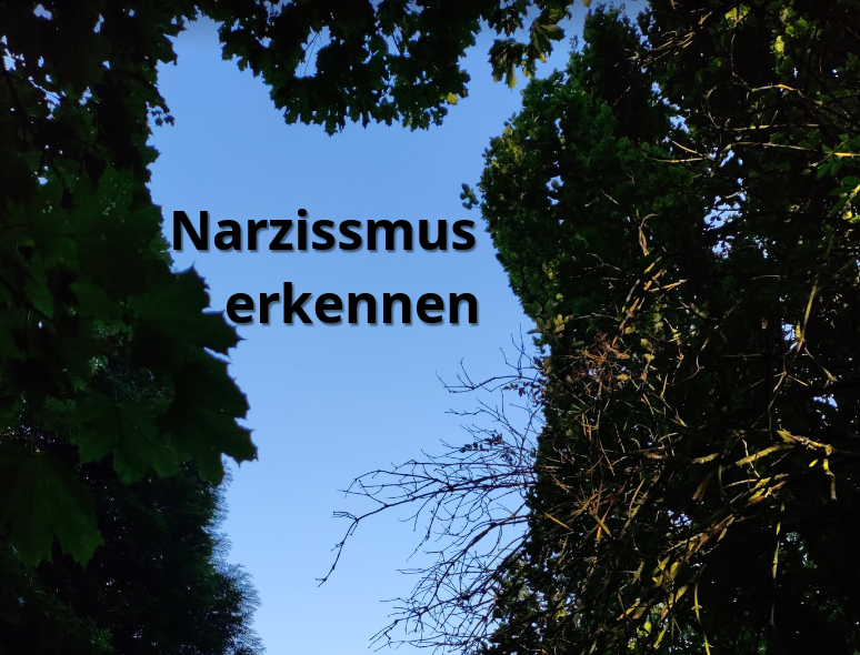     Blick nach oben in einen blauen Himmel, der von Baumkronen umrahmt wird. In der Mitte steht der Text: "Narzissmus erkennen".