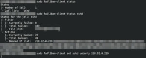 Gesperrte IPs in Fail2Ban entsperren und freigeben